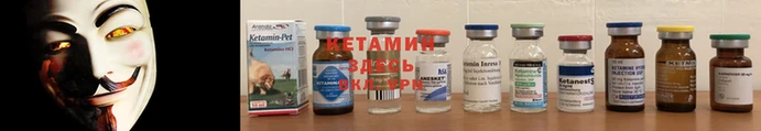 сатива Медногорск