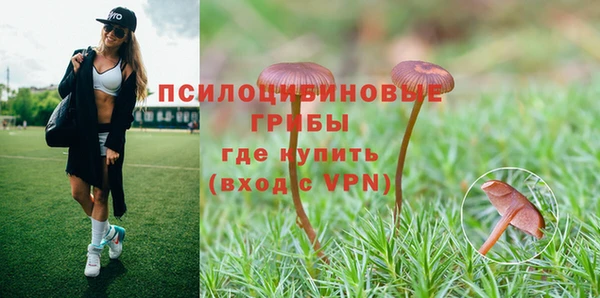 мет Мегион
