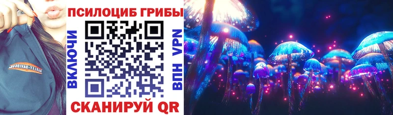 Галлюциногенные грибы Cubensis  закладка  Гдов 